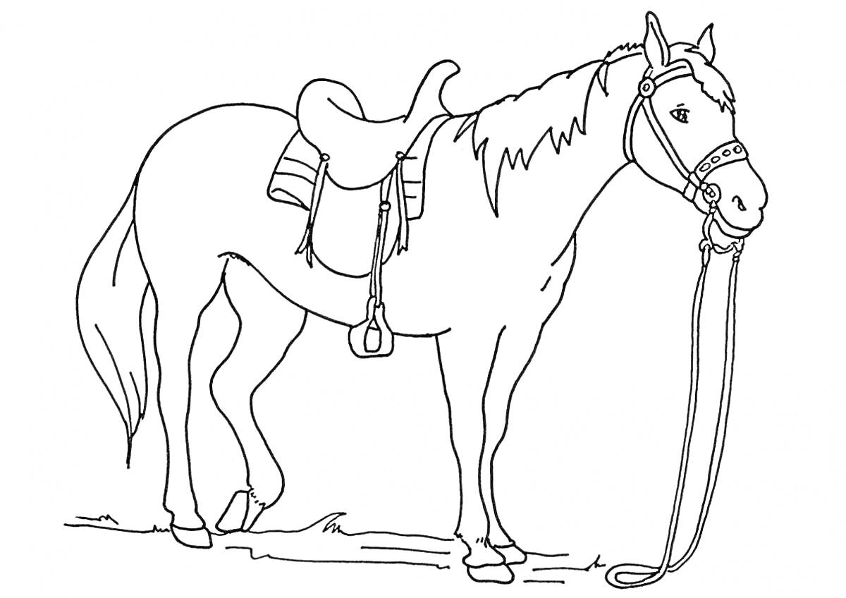 Раскраска Лошадь с седлом и уздечкой, стоящая на земле