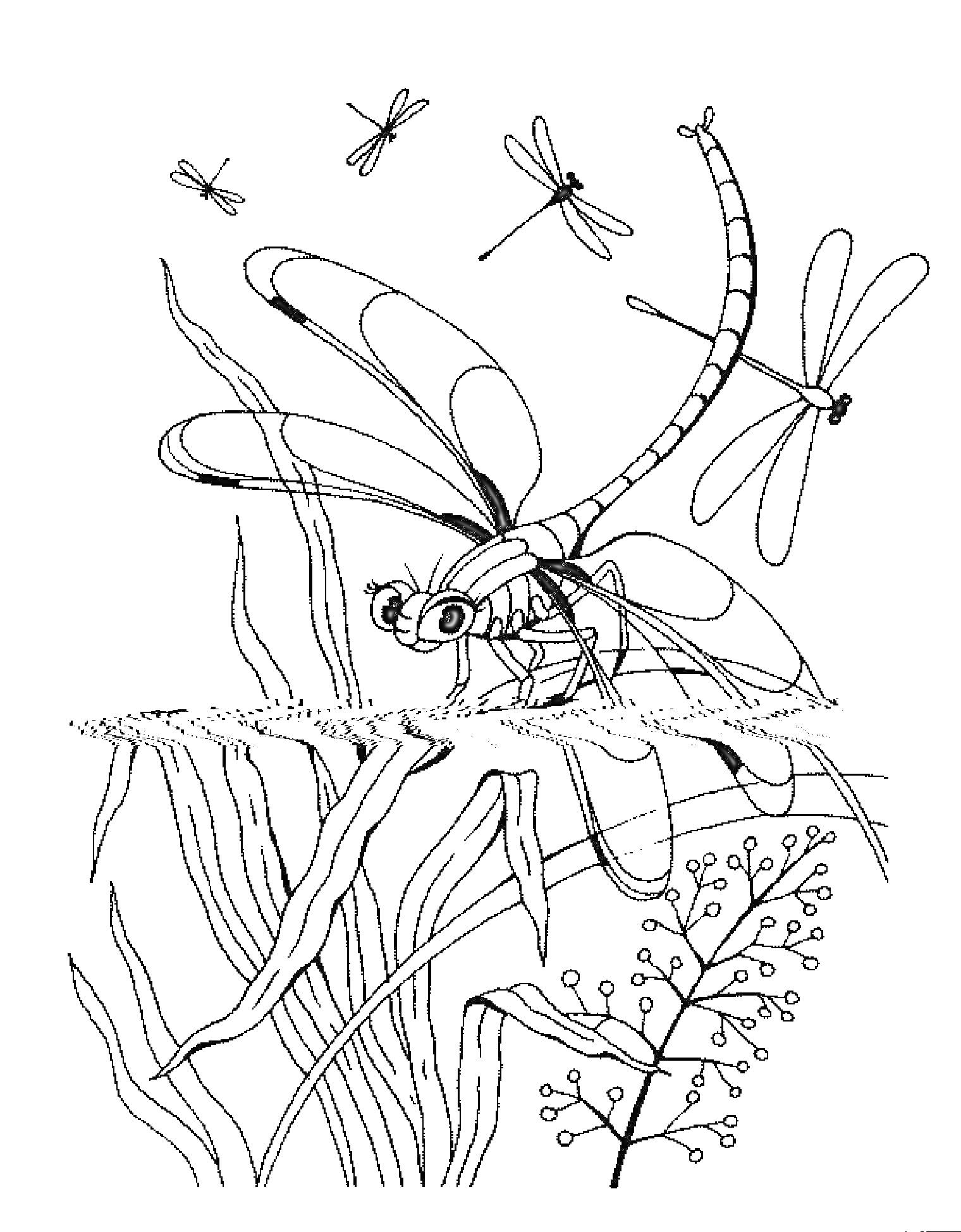 Раскраска Стрекоза над водой с другими стрекозами и водными растениями