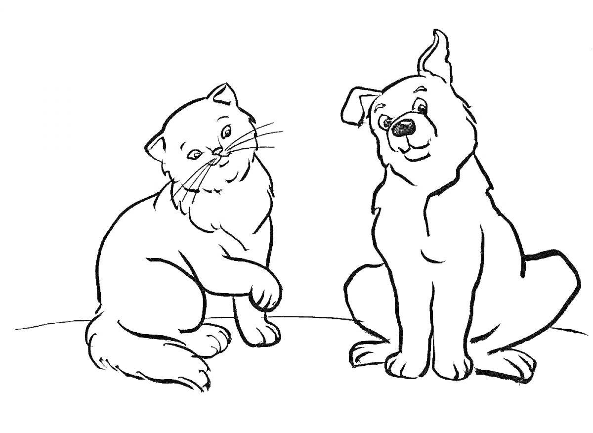 Раскраска Кошка и собака на полу