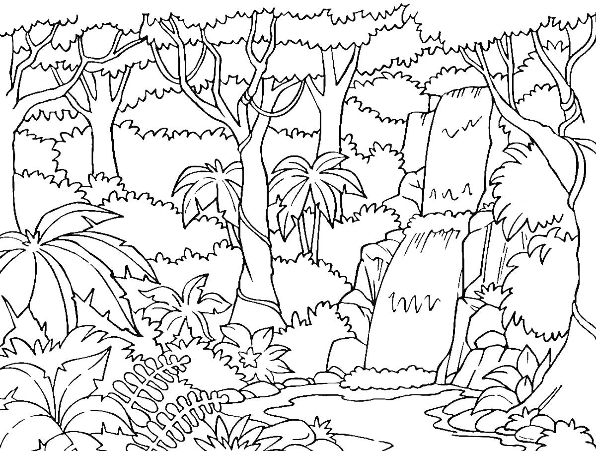 Раскраска Джунгли с водопадом, деревьями и кустами