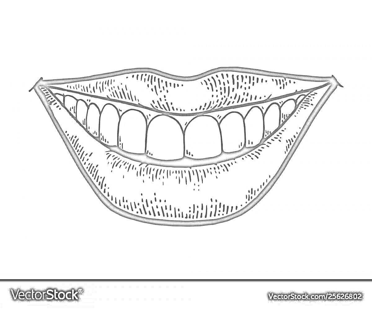 На раскраске изображено: Рот, Зубы, Улыбка