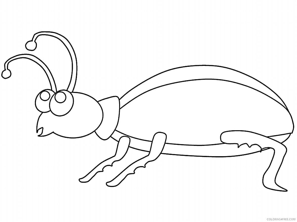 На раскраске изображено: Жучок, Насекомое, Усы, Глаза, Контурные рисунки