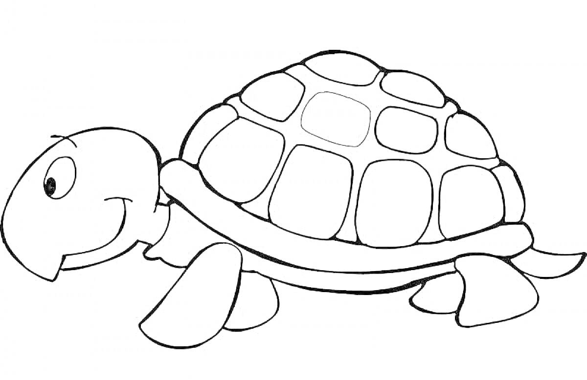 Раскраска Черепаха с узором на панцире