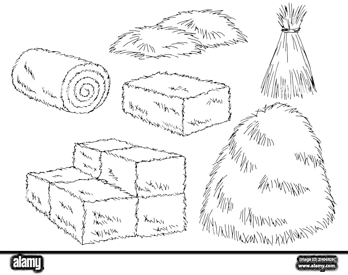 Раскраска Различные виды стогов сена: сено в рулоне, два небольших стога сена, связанный стог сена, кирпичики из соломы в три ряда, большой стог сена