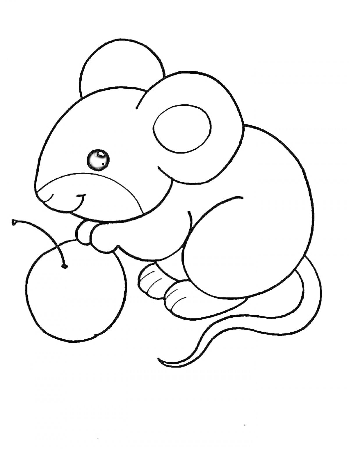 На раскраске изображено: Сыр, Животные, Мышь