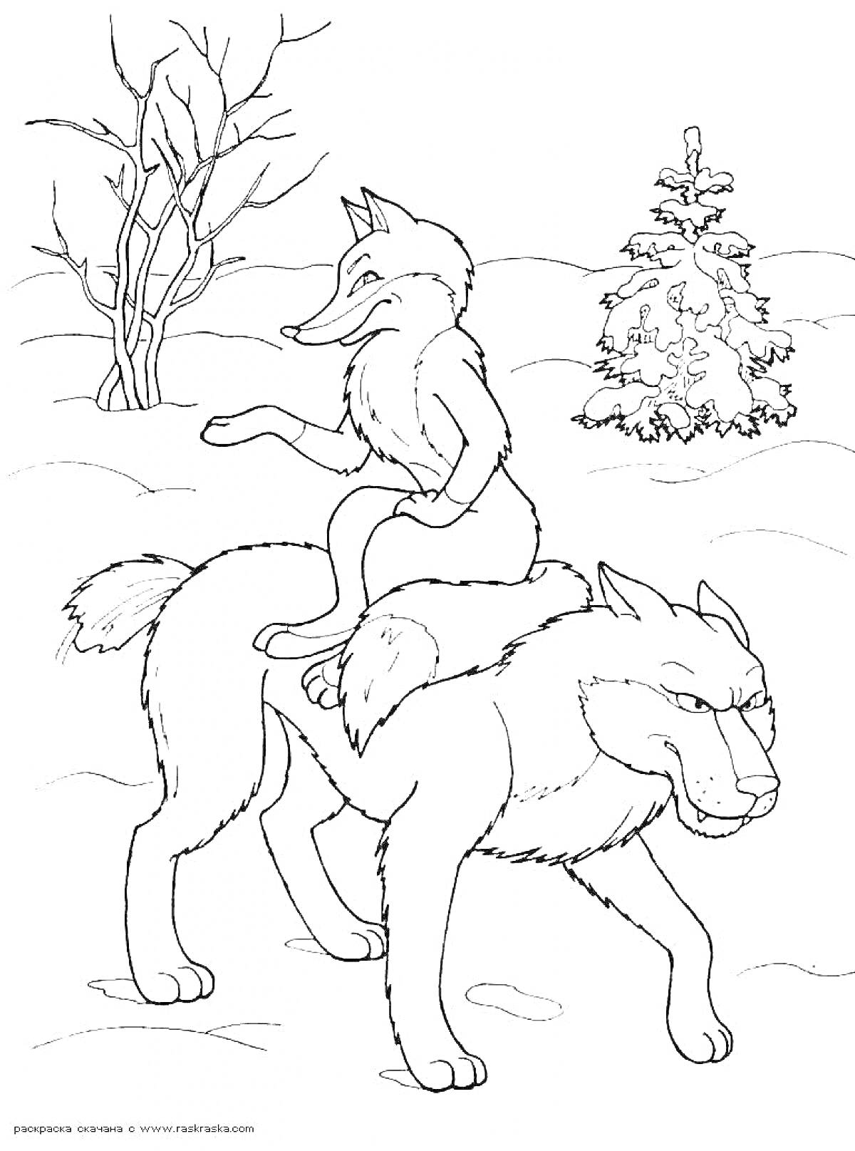 Раскраска Лисичка на спине серого волка зимой с деревьями на заднем плане
