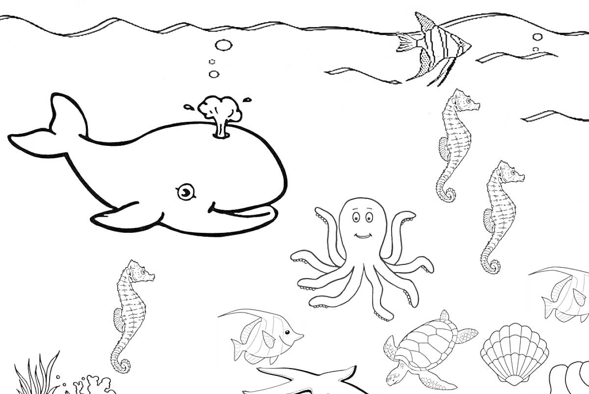 На раскраске изображено: Рыба, Морской конек, Черепаха, Ракушка, Море, Подводный мир, Для детей, Животные, Киты, Океаны, Осьминоги