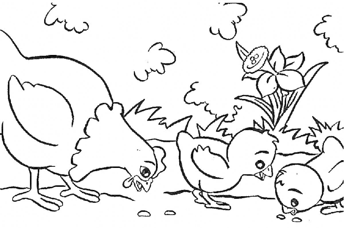 Раскраска Курица с двумя цыплятами на траве с цветком
