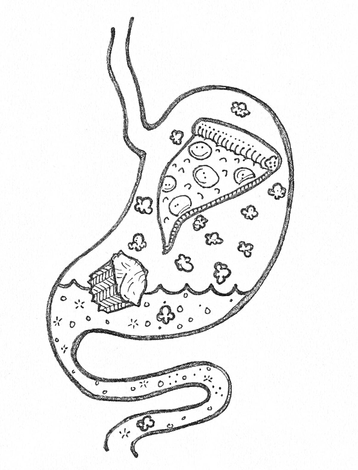 Раскраска Желудок с кусочком пиццы и печеньем внутри