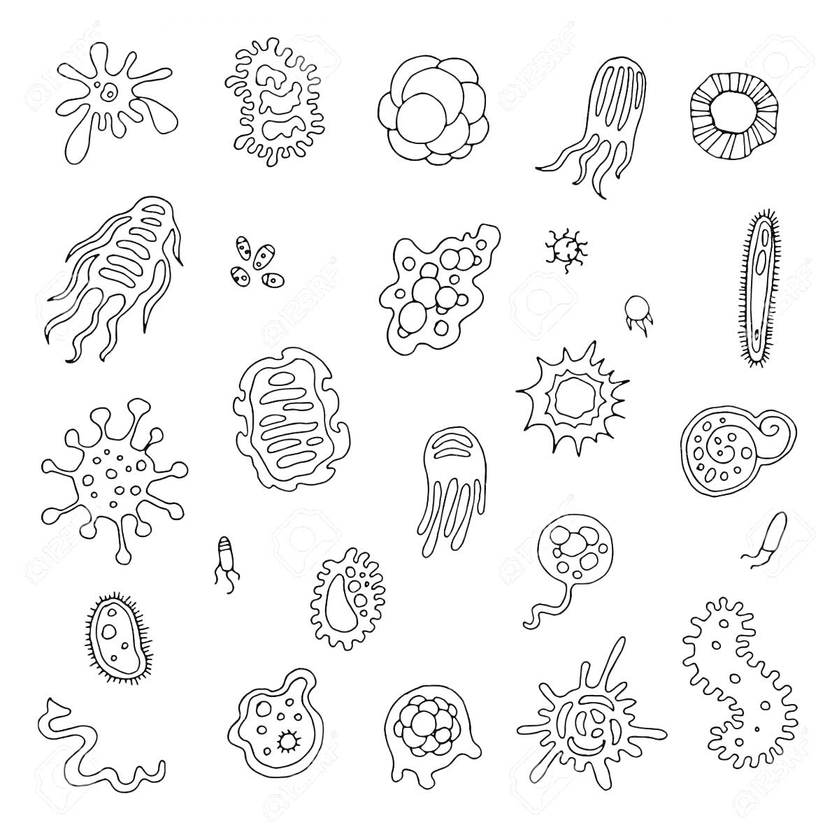На раскраске изображено: Антистресс, Вирусы, Бактерии, Микробы, Медицинская тема, Микроорганизмы, Контурные рисунки