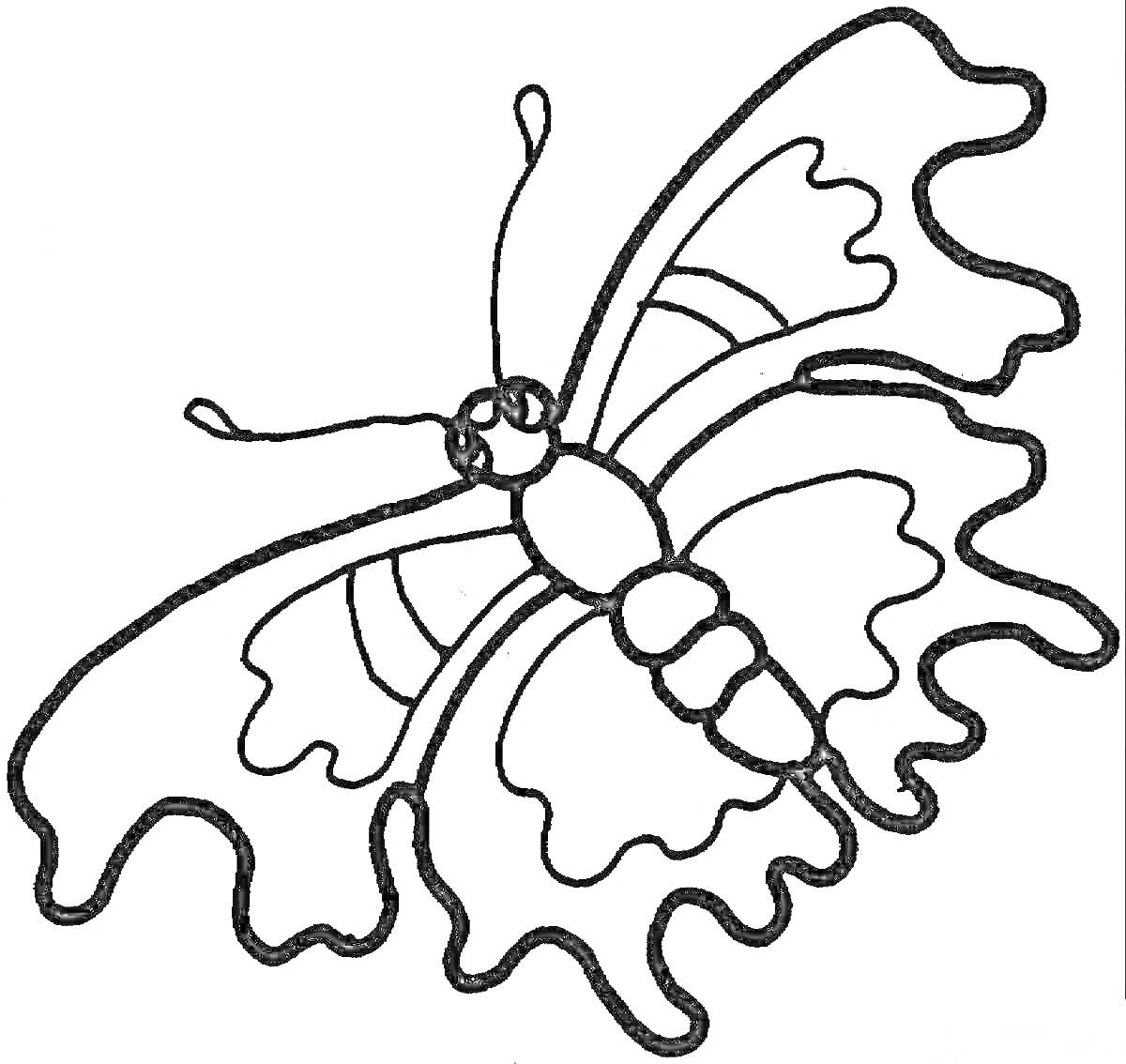 Раскраска Трафарет с бабочкой