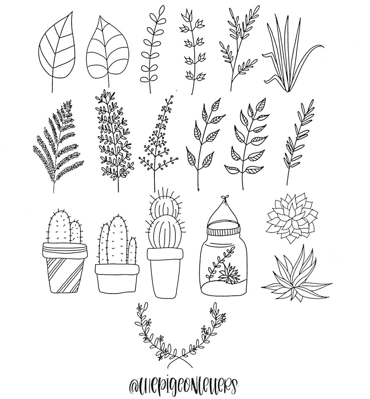 Раскраска Растения и кактусы: листья, веточки, кактусы в горшках, суккуленты, венок