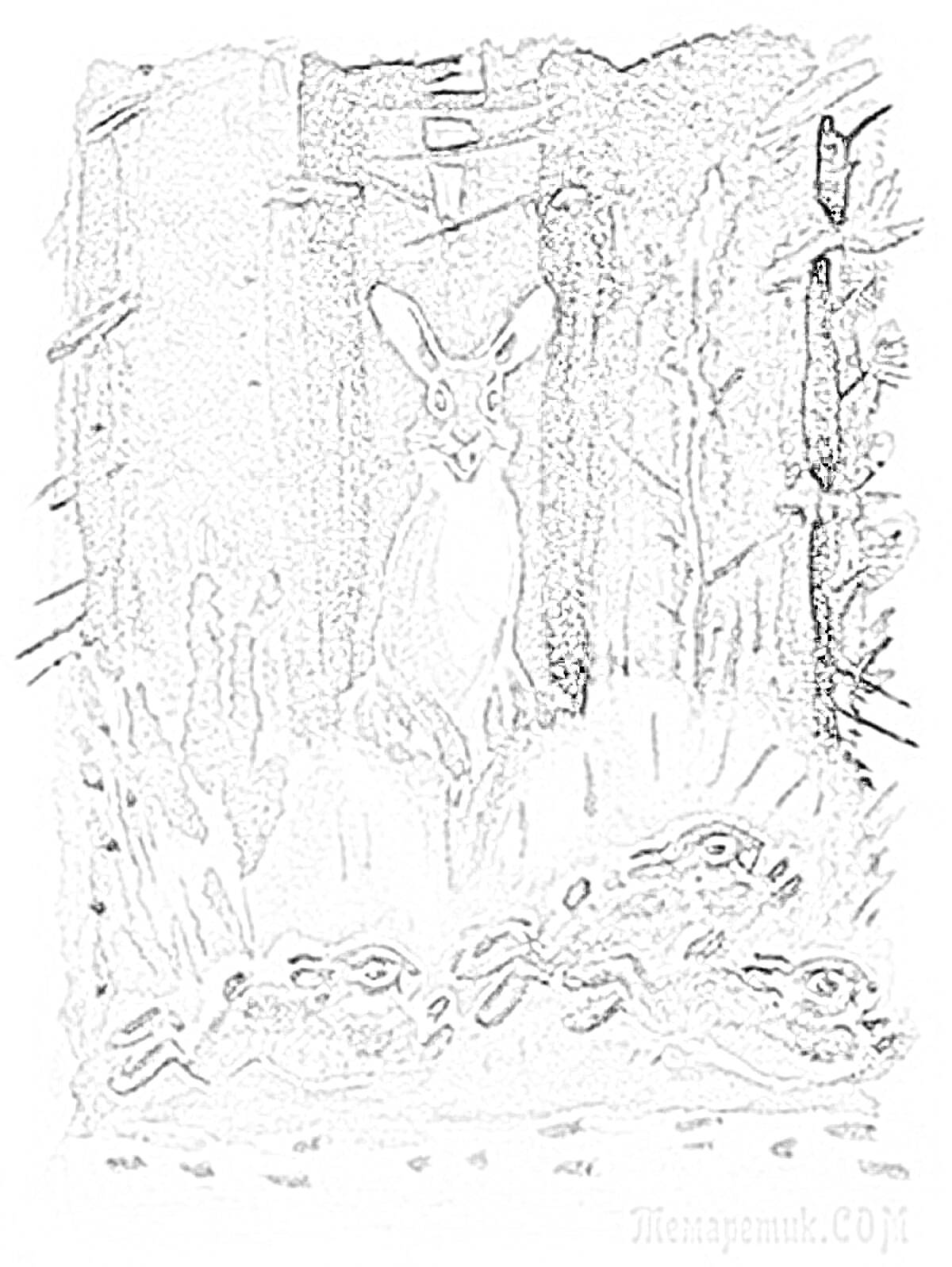 Раскраска Храбрый заяц с длинными ушами и коротким хвостом среди змей в лесу