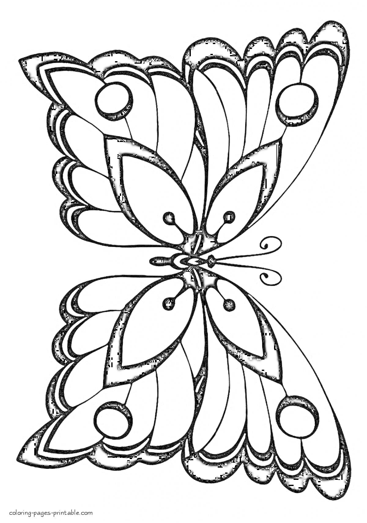 Раскраска Бабочка с узорчатыми крыльями и круглыми элементами