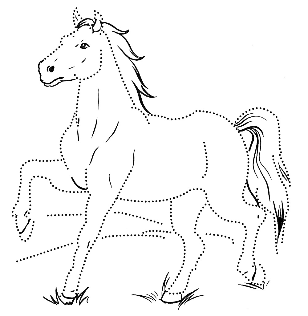 Лошадь на фоне травы