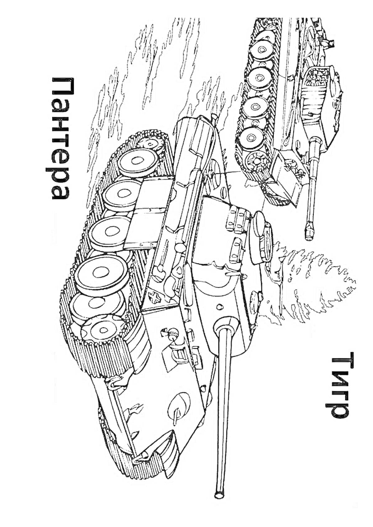 На раскраске изображено: Танк, Тигр, Пантера, Лес, Военная техника