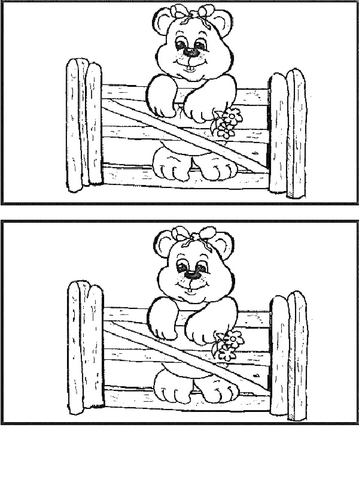 Раскраска Медвежонок за забором, с цветком и бантиком