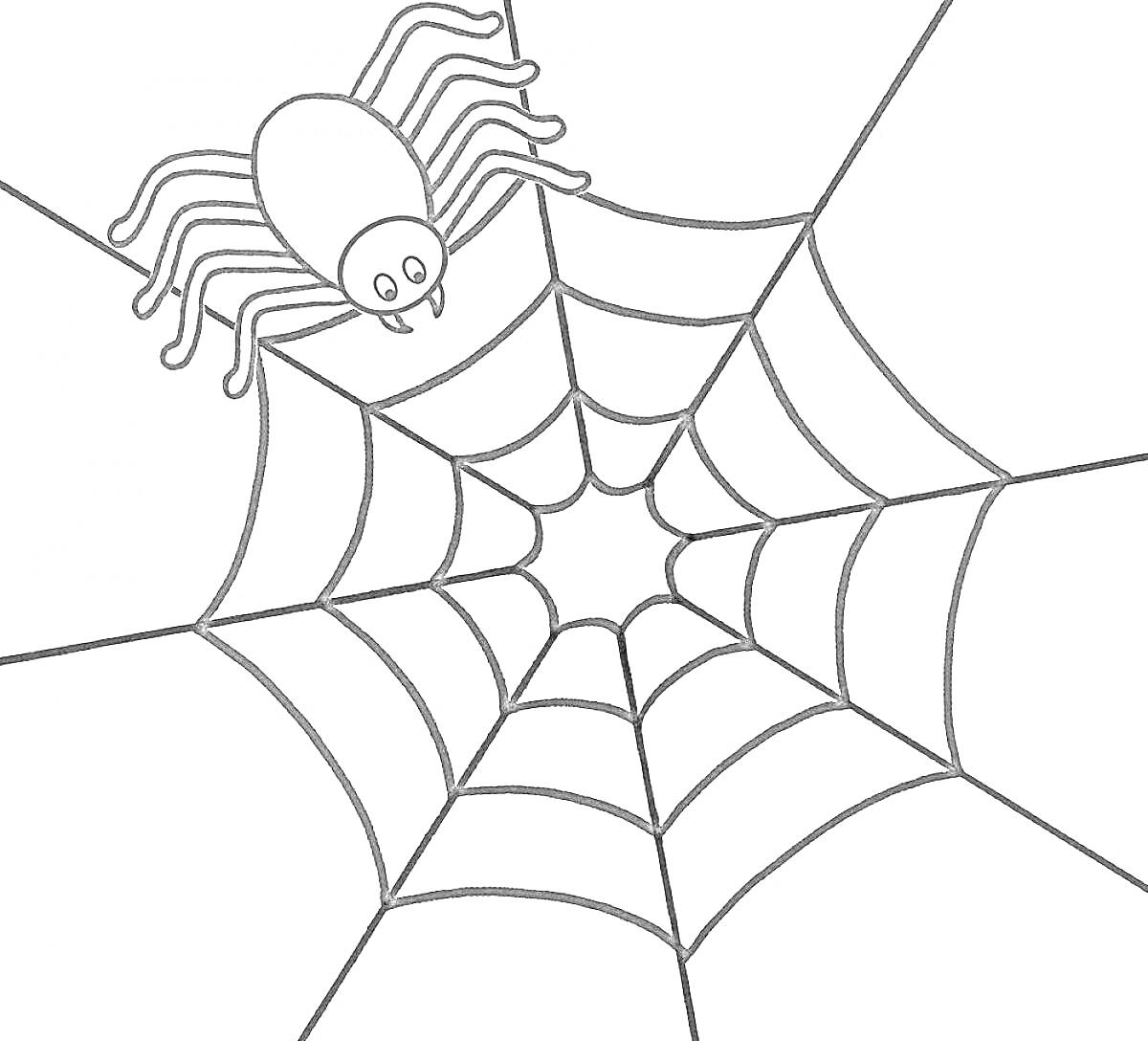 Раскраска Паутина с пауком