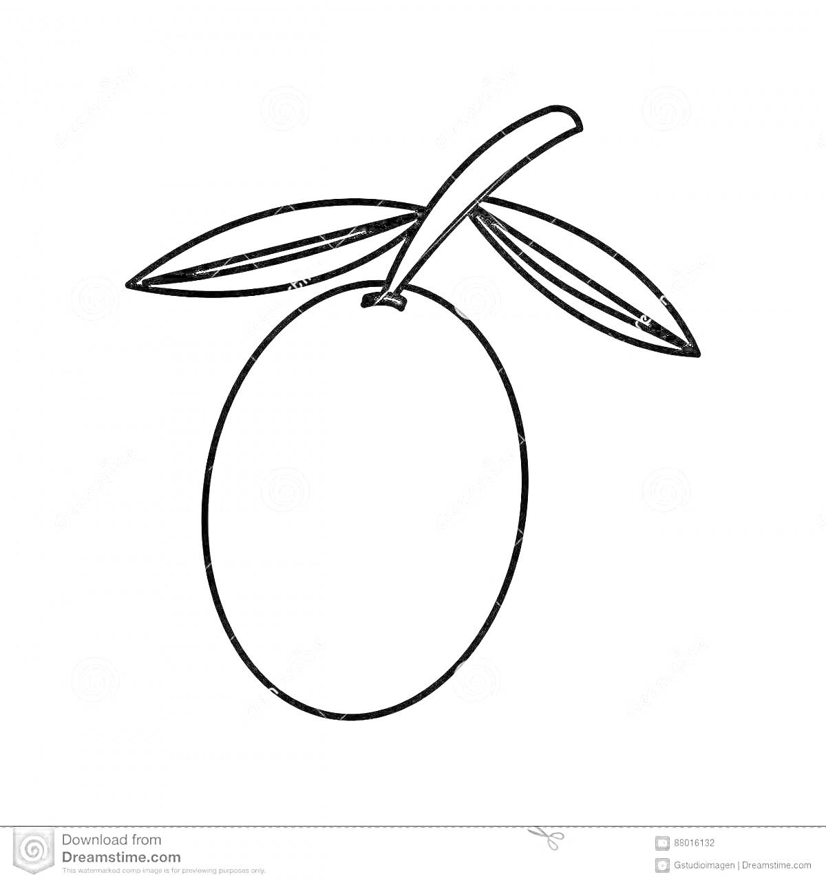 На раскраске изображено: Листья, Ветка, Еда