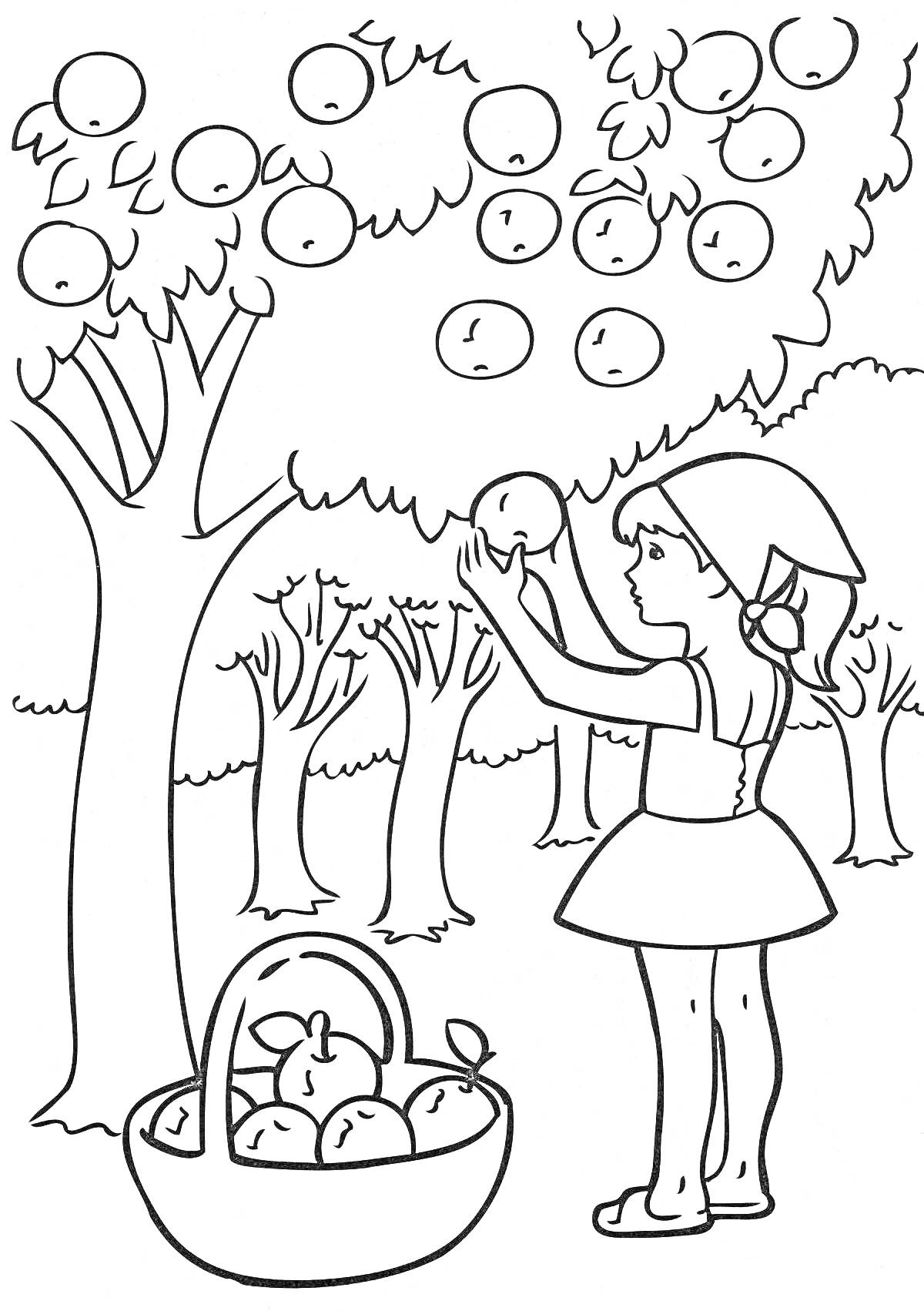 На раскраске изображено: Девочка, Яблоня, Корзина, Сад, Деревья, Сбор урожая, Природа