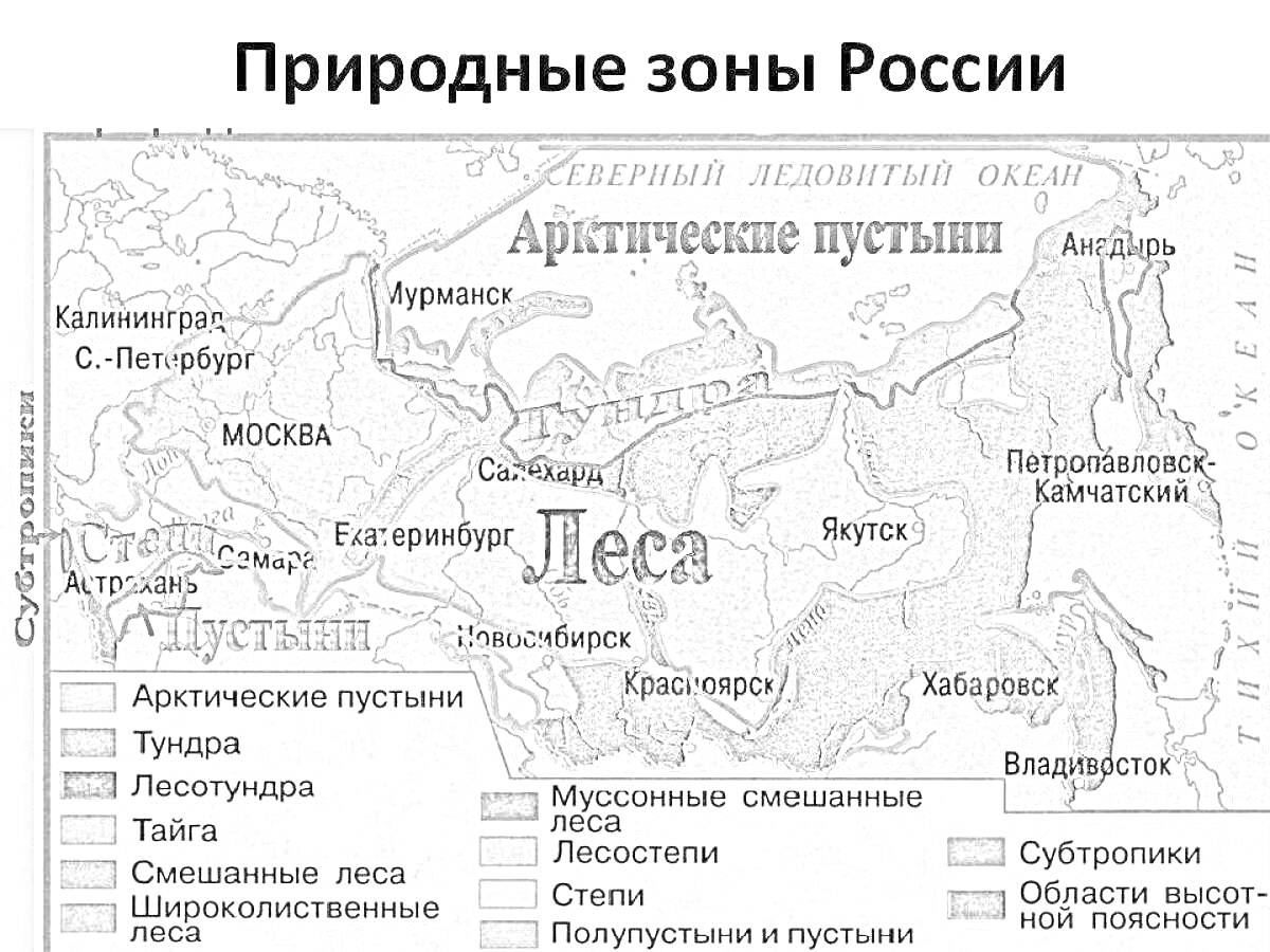 На раскраске изображено: Природные зоны, Россия, Карта, Арктические пустыни, Тундра, Лесотундра, Тайга, Смешанные леса, Широколиственные леса, Лесостепи, Степи, Полупустыни