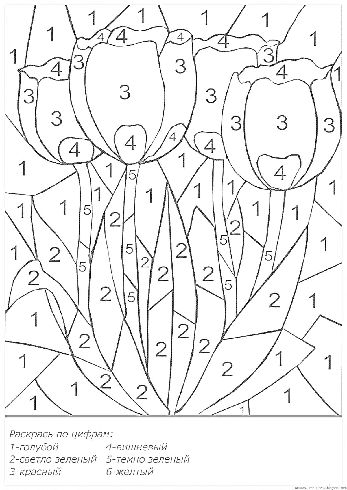 Раскраска по номерам с тюльпанами