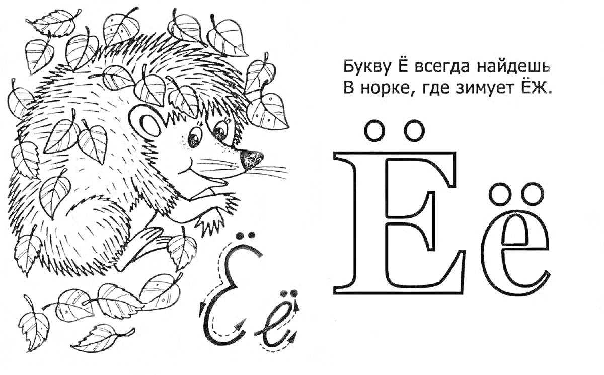 Раскраска Ежик с листьями и буква Ё с надписью 