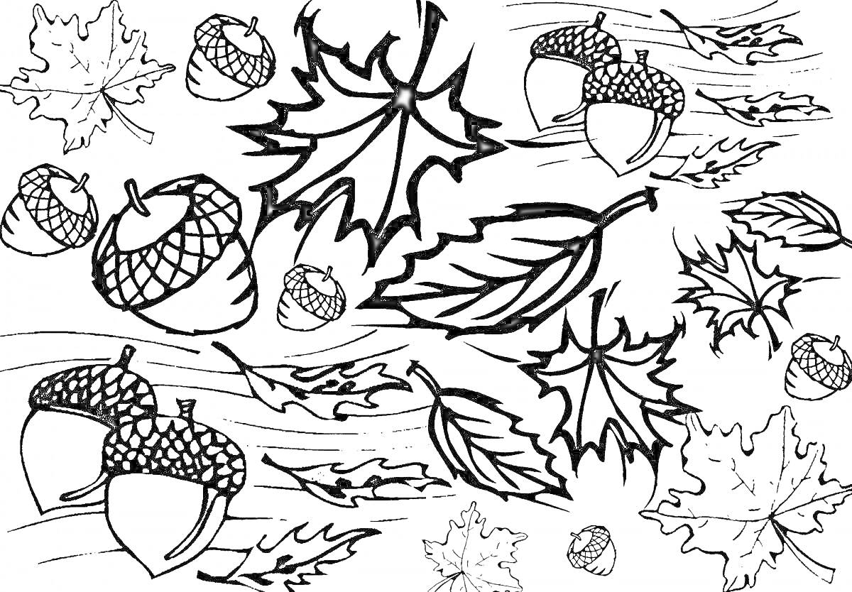 На раскраске изображено: Осень, Листья, Желуди, Природа, Осенние листья, Для детей