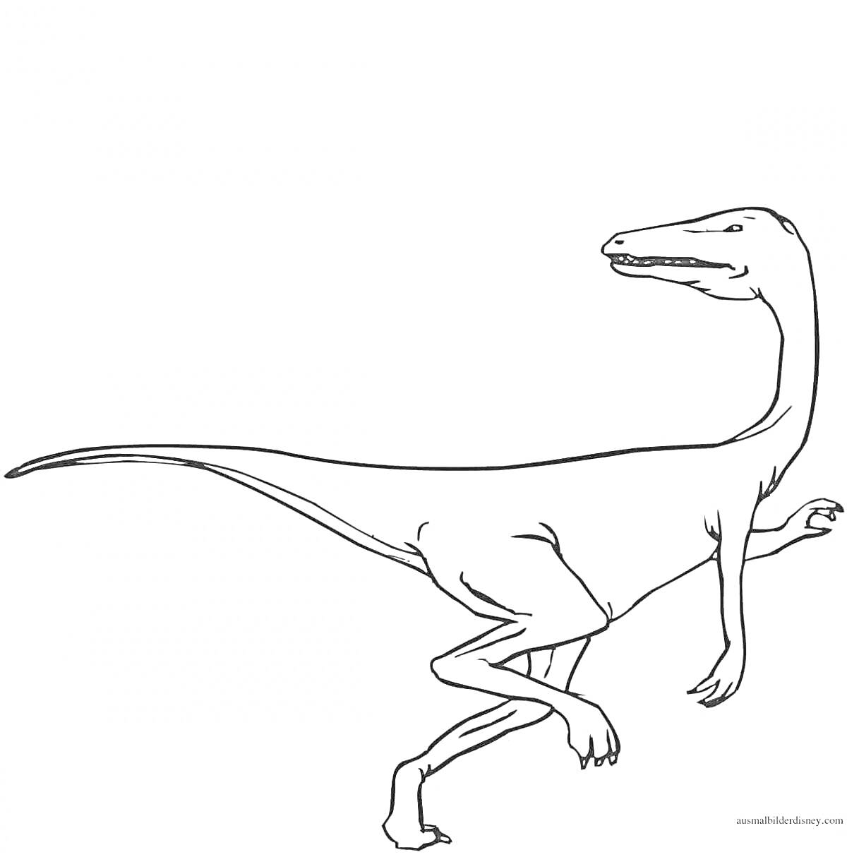 На раскраске изображено: Динозавр, Лапы, Хвост, Длинная шея
