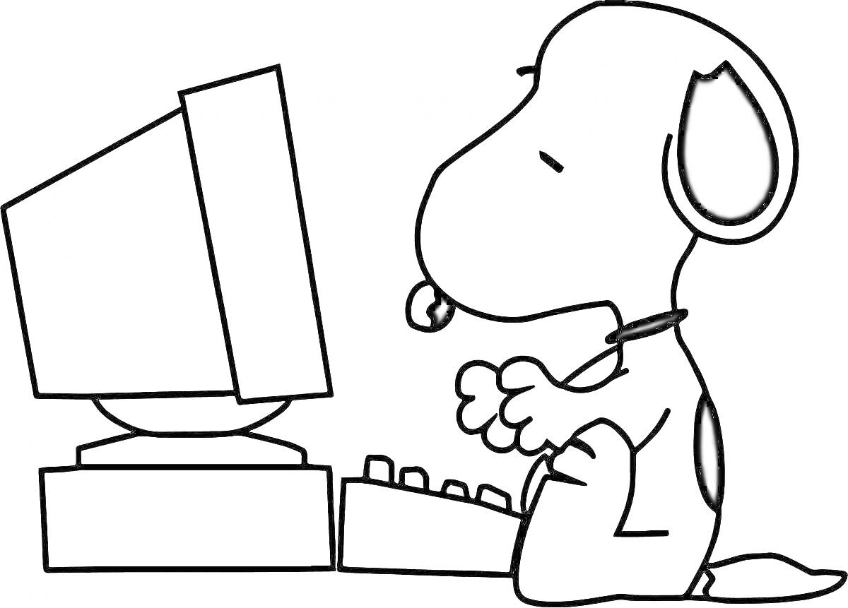 Раскраска Собака за компьютером - монитор, клавиатура, наушники, собака
