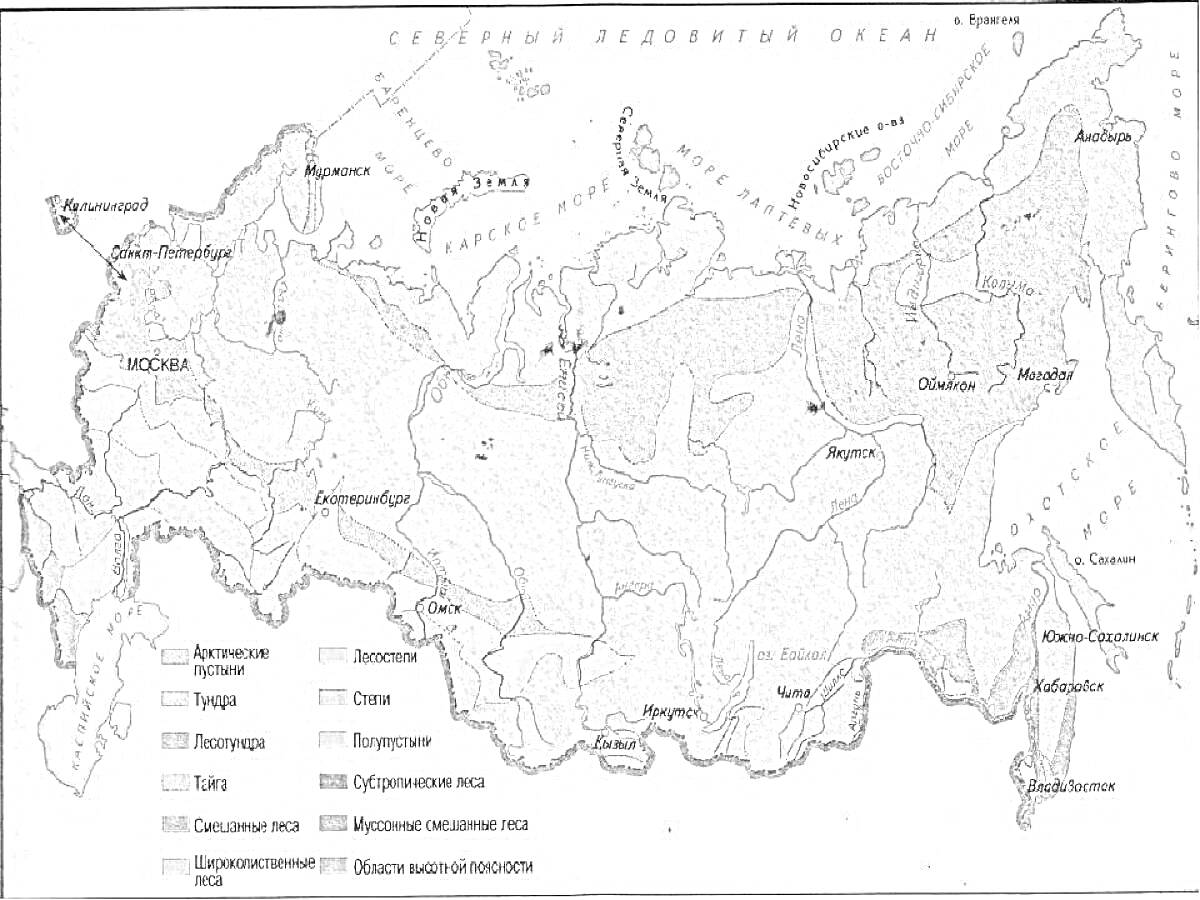 Природные зоны России: арктическая пустыня, тундра, лесотундра, тайга, смешанные леса, широколиственные леса, степь, полупустыни, пустыни, горные территории