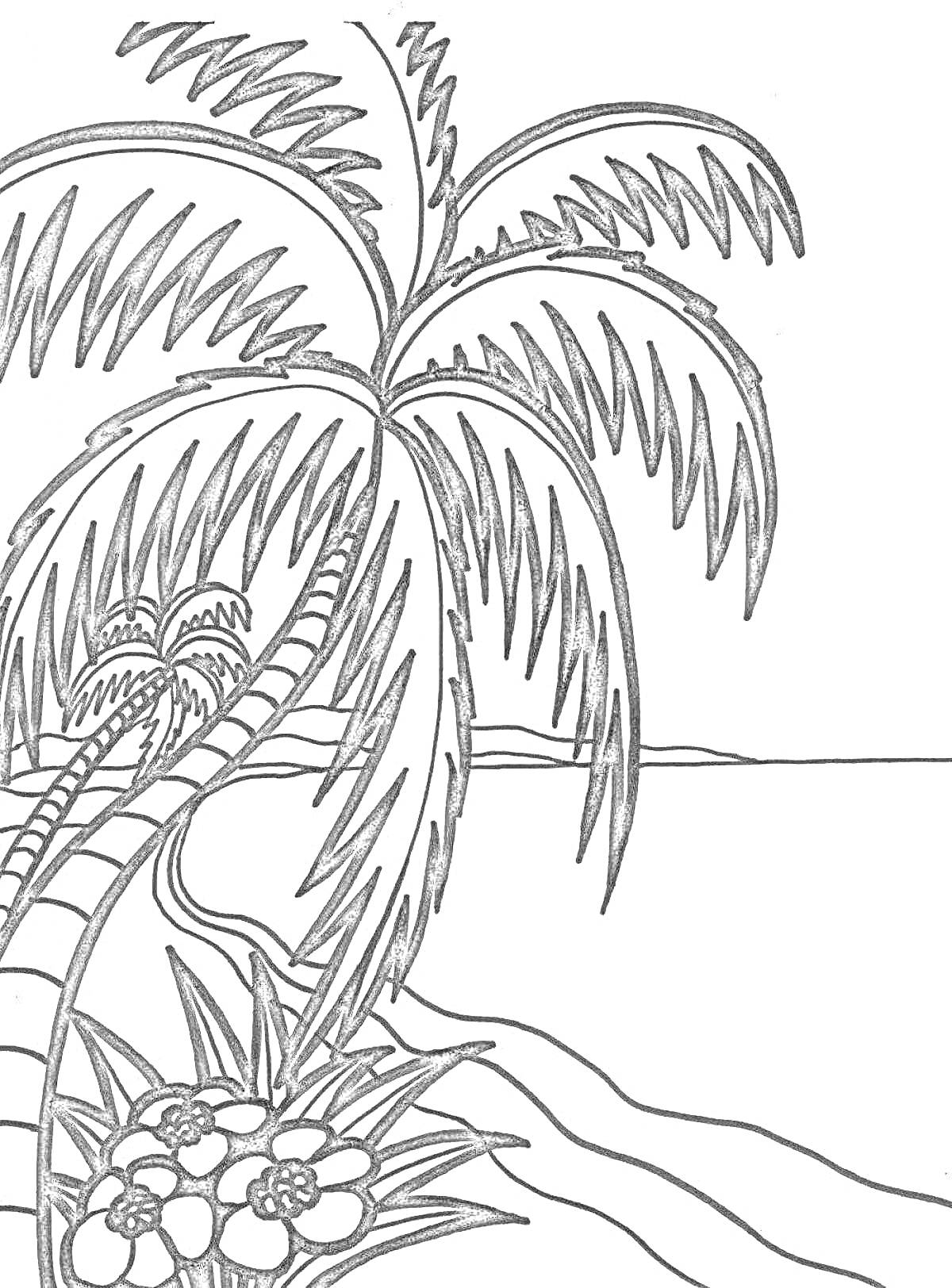 На раскраске изображено: Пальмы, Море, Пляж, Цветы, Тропики, Берег, Природа, Листья, Линия горизонта, Океаны