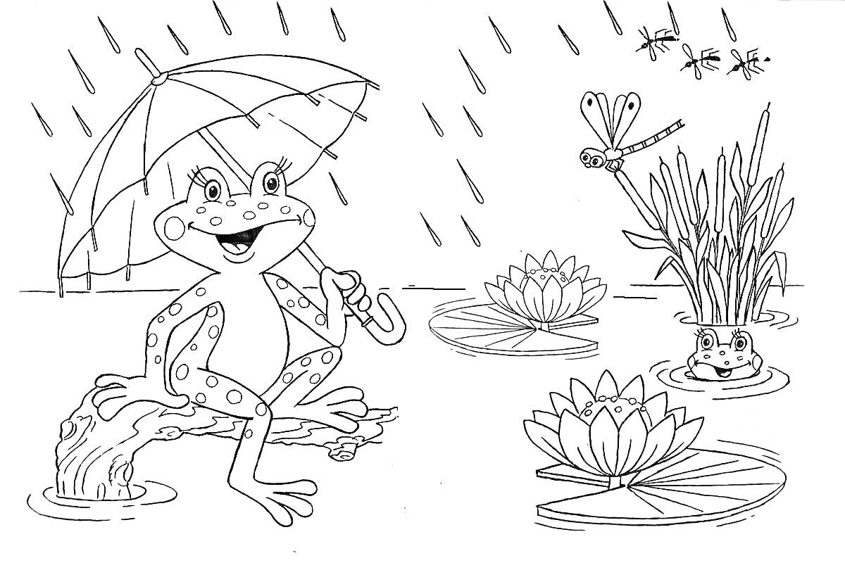 Раскраска Лягушка с зонтом на ветке в дождь, стрекоза, комары, водяные лилии