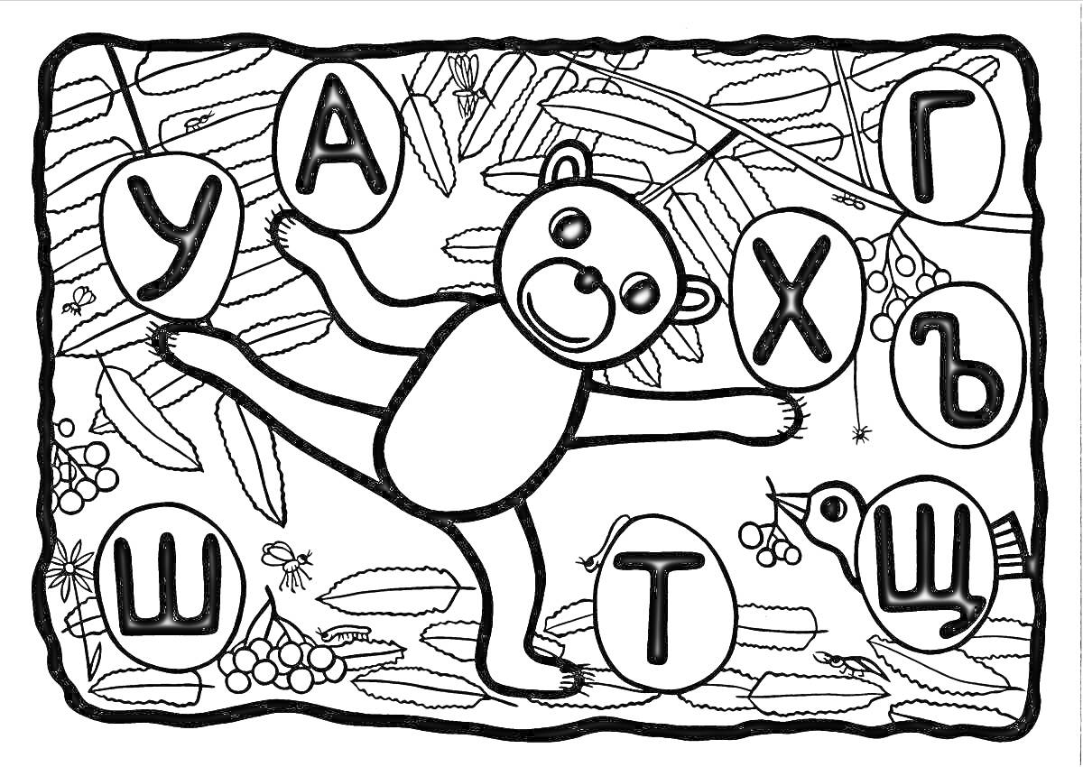 На раскраске изображено: Буквы, Листья, Русский алфавит, Ягоды, Птица, Медведь