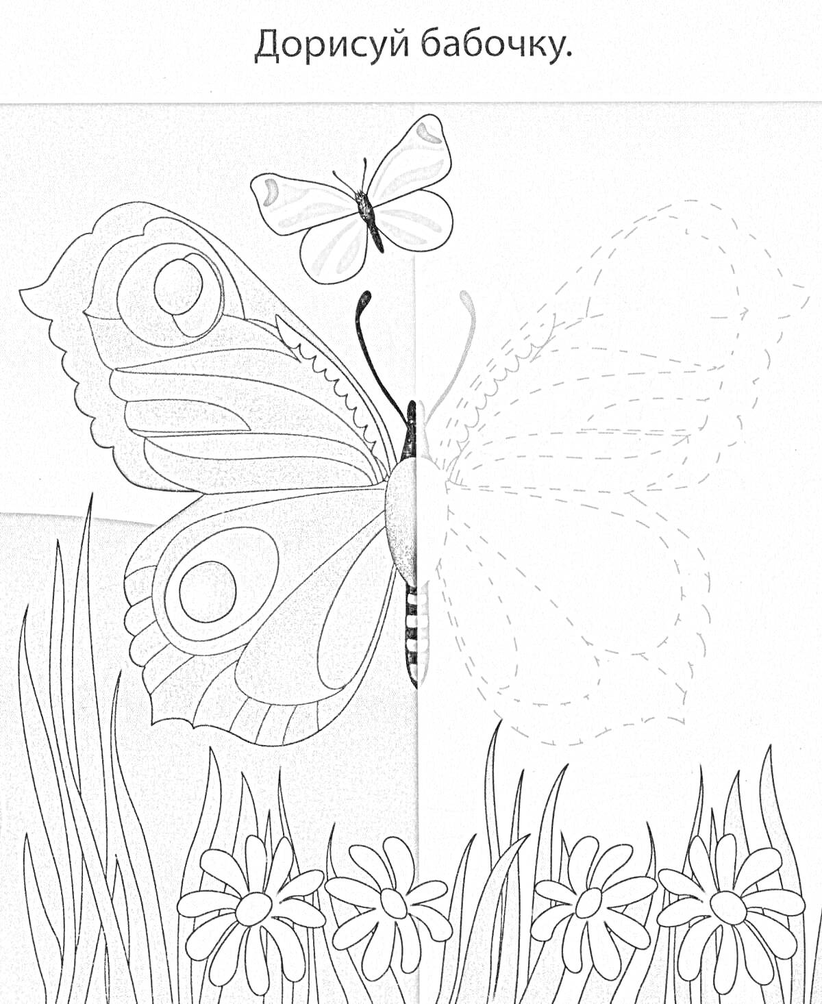 Раскраска Раскраска бабочки с заданием дорисовать бабочку на заднем фоне из травы и ромашек