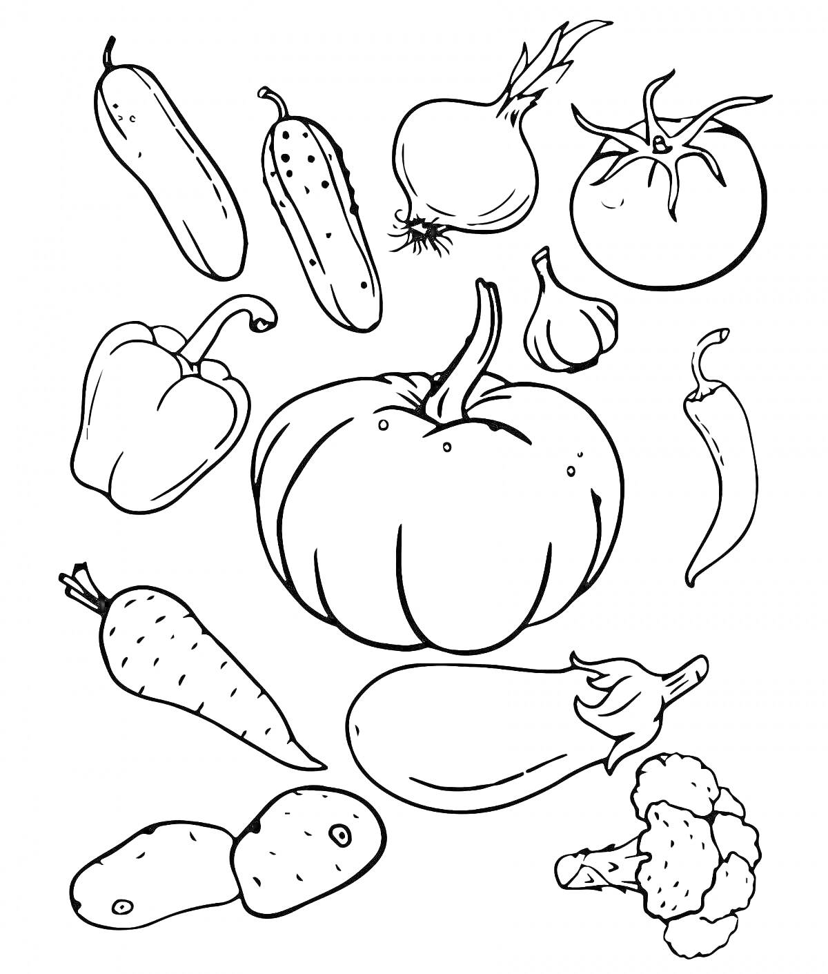 На раскраске изображено: Овощи, Фрукты, Огурец, Лук, Помидор, Тыква, Чеснок, Перец чили, Морковь, Кабачок, Картофель, Брокколи, Для девочек