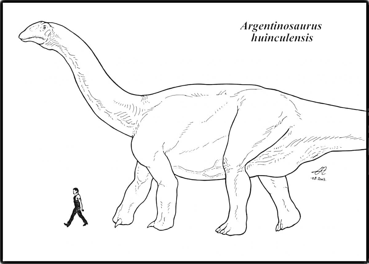 Раскраска Аргентинозавр и человек, иллюстрация для раскрашивания