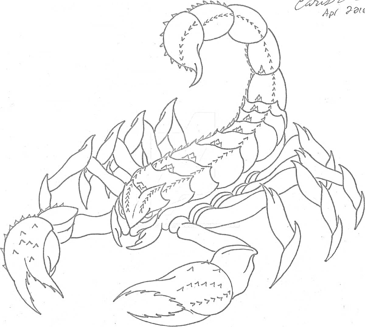 Раскраска скорпион с клешнями и раздвоенным хвостом, с детализированными сегментированными частями тела и количеством ног шесть