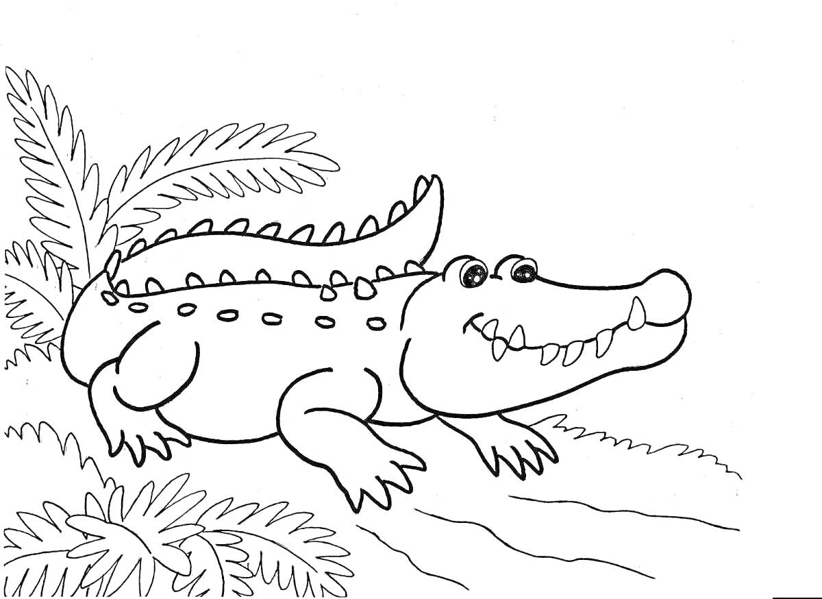 На раскраске изображено: Крокодил, Джунгли, Пальмы, Природа, Река, Для детей, Животные