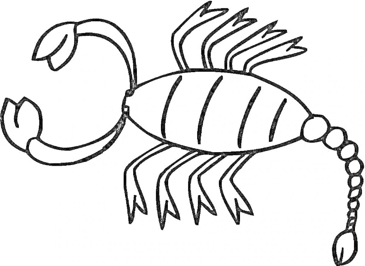 РаскраскаРаскраска с изображением скорпиона с клешнями, сегментированным телом, четырьмя парами ног и хвостом с жалом.