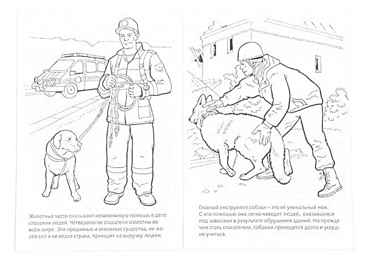 На раскраске изображено: МЧС, Спасатели, Здание, Дрессировка, Служба, Собака