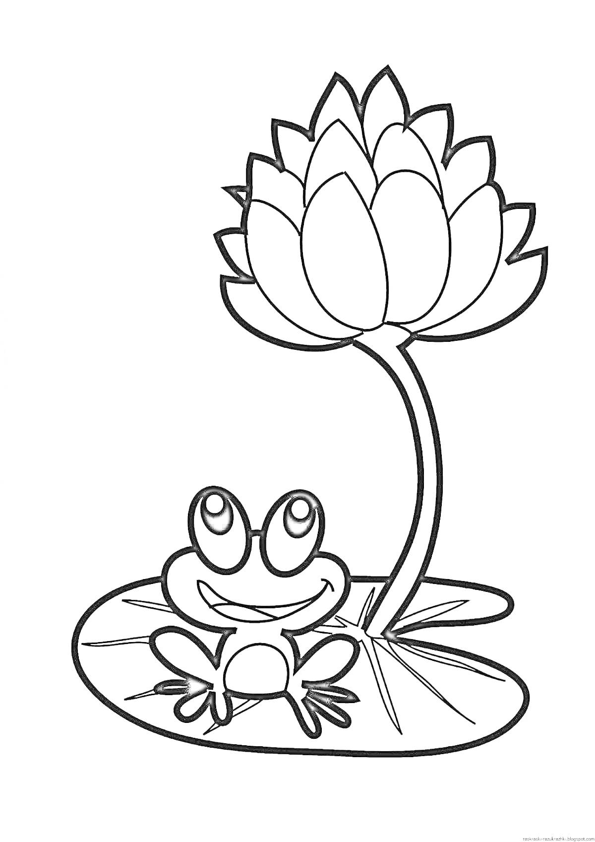 Раскраска Лягушка под цветком лотоса