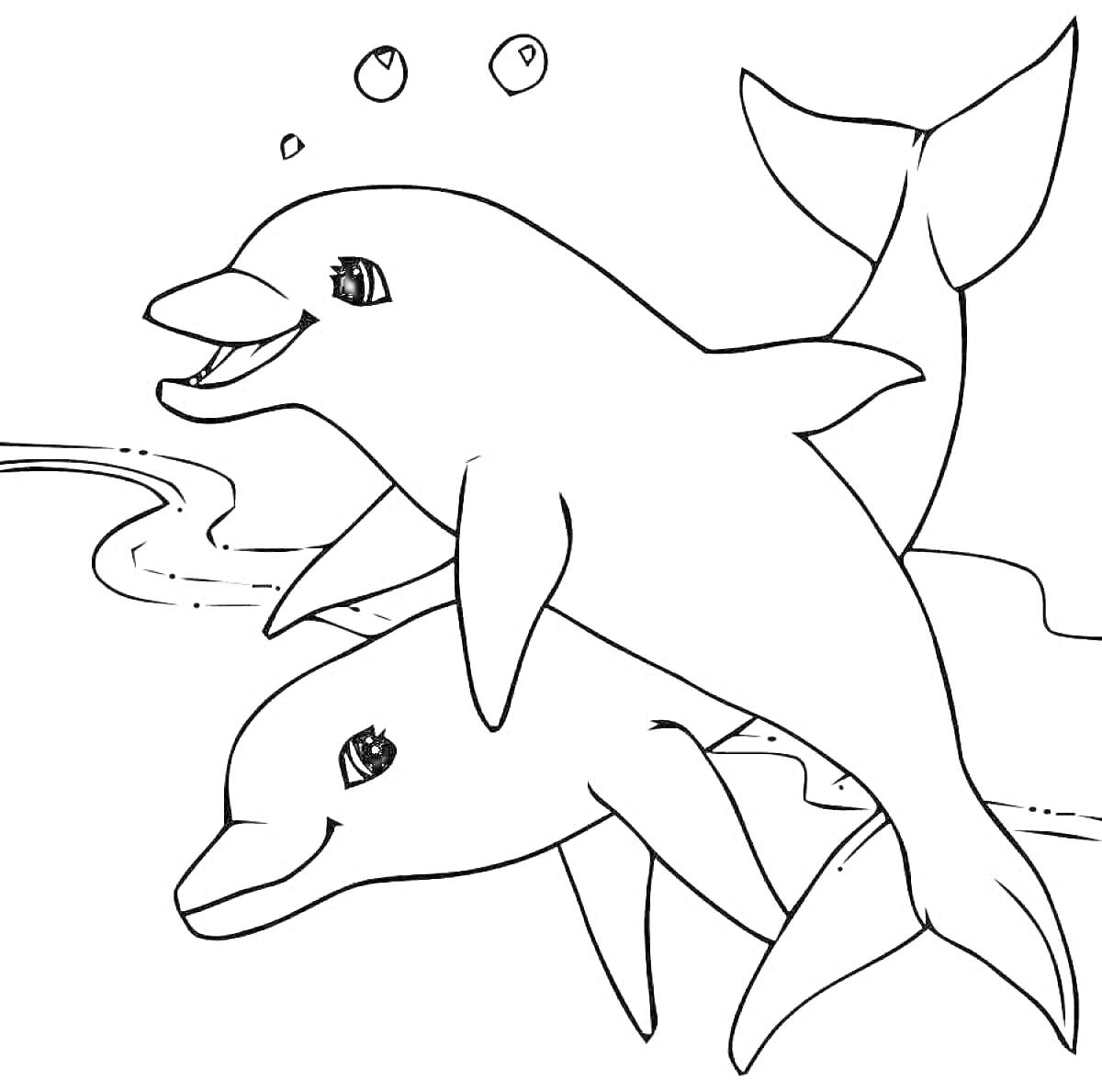 На раскраске изображено: Дельфины, Вода, Морские животные