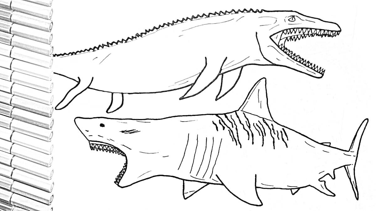 На раскраске изображено: Мегалодон, Хищники, Карандаши, Динозавр, Древние животные, Морские животные