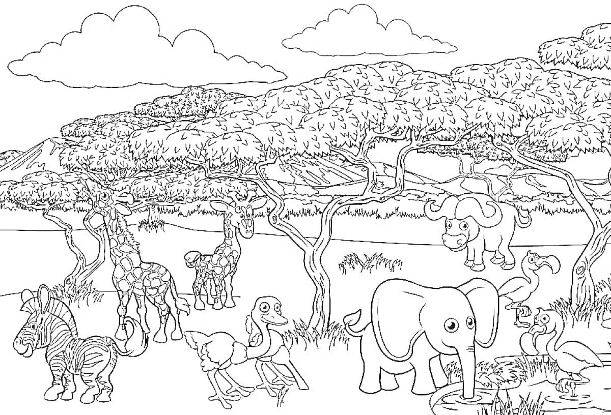 На раскраске изображено: Саванна, Животные, Слон, Жирафы, Носорог, Фламинго, Деревья, Природа, Озеро, Пейзаж
