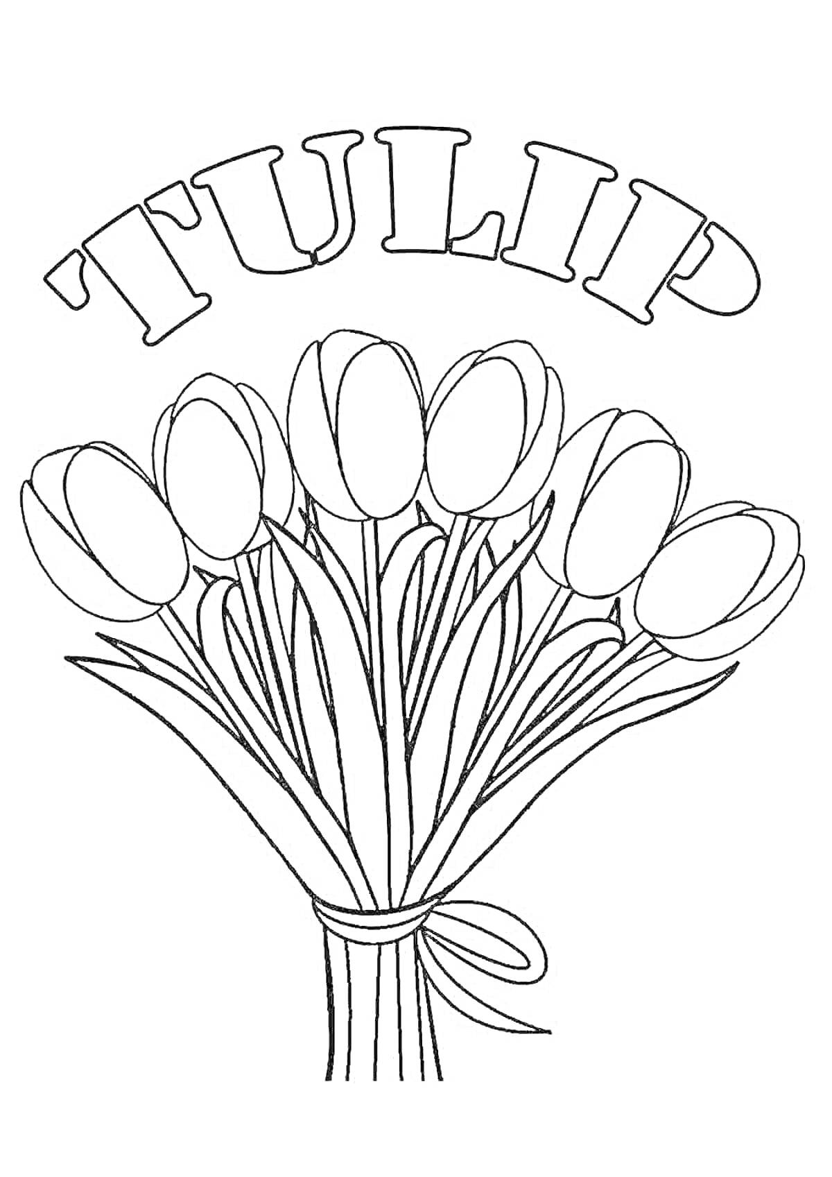 Раскраска Букет тюльпанов с надписью TULIP сверху