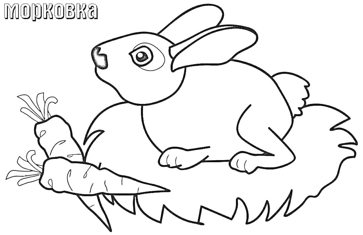 На раскраске изображено: Заяц, Морковка, Трава, Животное, Овощи, Контурное изображение, Искусство, Для детей