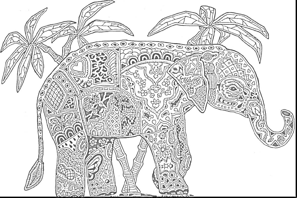На раскраске изображено: Слон, Узоры, Пальмы, Сложные, Зентангл, Антистресс