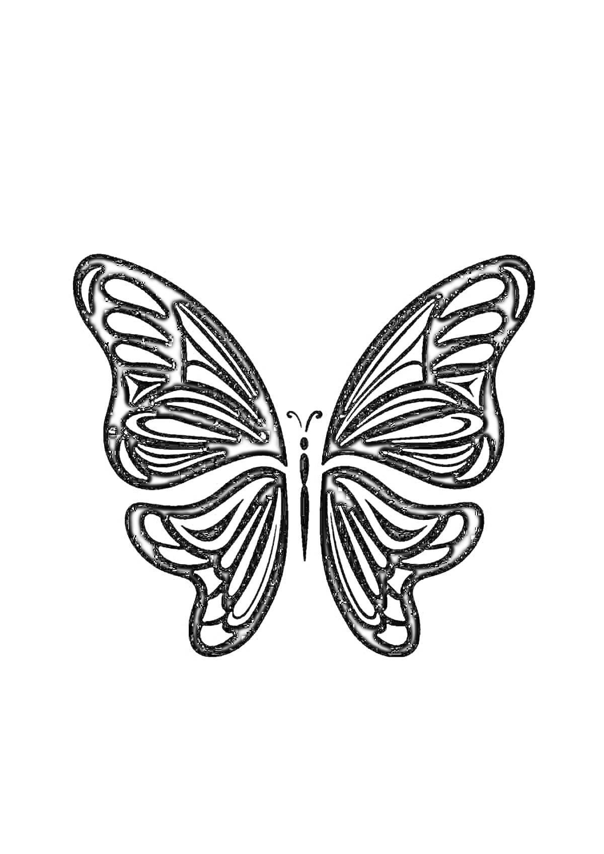 На раскраске изображено: Бабочка, Крылья, Узоры, Насекомое, Природа