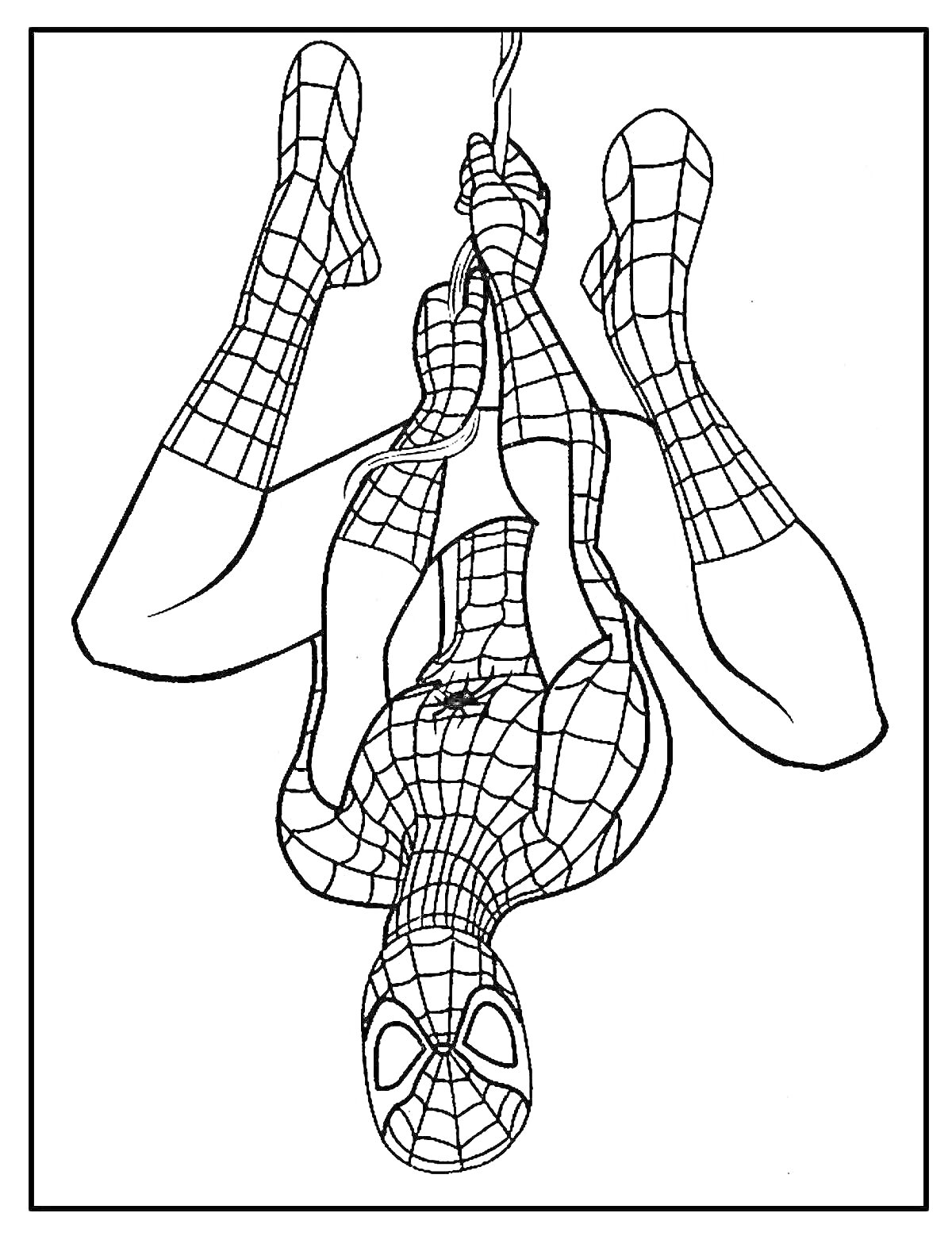 Раскраска Человек-паук висит вверх ногами на паутине